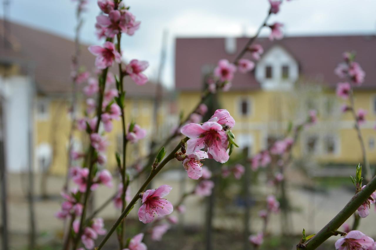 Statek Luníkov Villa Zizice Exterior foto